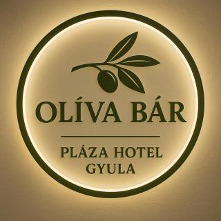 Plaza Hotel Gyula - 5