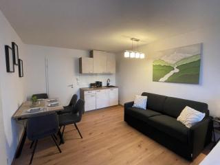Ausblick in den Bayerischen Wald - Moderne Ferienwohnung - Sankt Englmar - 2