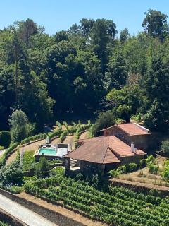 Quinta de Santa Júlia - Peso da Régua - 0