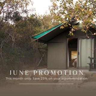 Leopard Ranch - Luxury Tented Camp - 4