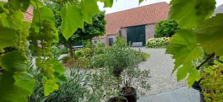 Hermelgemhoeve - Zonnebloem - 2