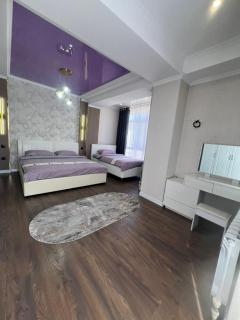 Luxury Apartments on Toktogul #106 - Bisjkek - 6