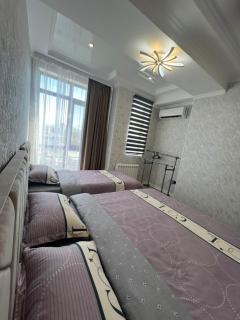 Luxury Apartments on Toktogul #106 - Bisjkek - 8