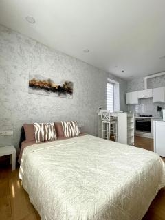 Rami studio apartment - Panevėžys - 9