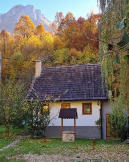 Căsuța cu Alune - - 3