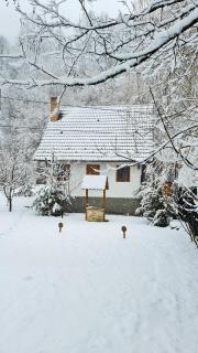 Căsuța cu Alune - - 1