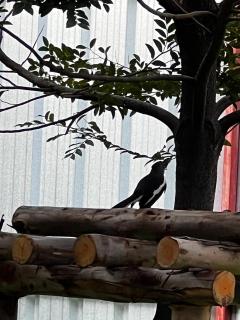 Baan Apak - Godown - 7