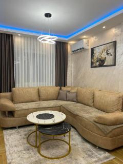 Apartman Stoiljkovic Vrnjacka Banja - 4