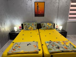 Mitić Apartmani 1 - Niš - 1