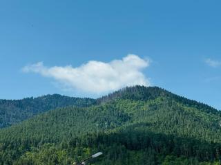 guest house merab - 7