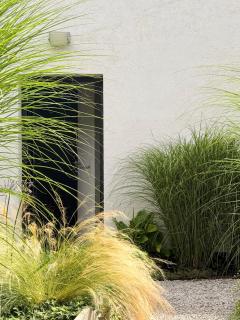 La Suite (Ô) Wood & Chic - 3