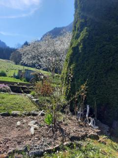 Chalet le Mayou - Châtillon-sur-Cluses - 3
