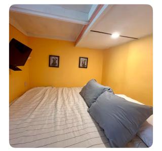 Casita Orquidea - 5