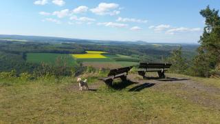 Wengertshaus - Hammelburg - 8