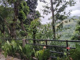 Ella nature hostel - 7