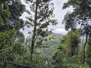 Ella nature hostel - 6