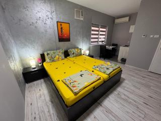 Mitić Apartmani 1 - Niš - 8