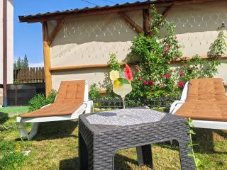Casa 7 Izvoare - Borsec - 0
