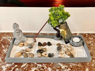 L'Orée du Jardin T3 parking - Rouen - 2