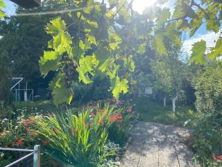 Ferienwohnung mit Garten - 5