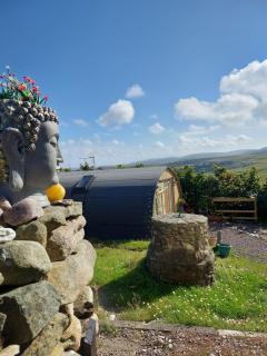 Butterfly Podika - Lerwick - 7