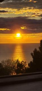 Evasion Marine à Trouville - 6