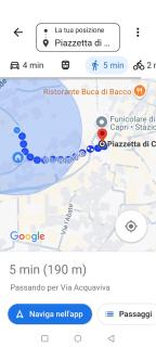 Villa dei fiori B&B - Capri - 7