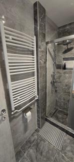 Lux Apartman Stojanović - 6