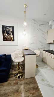 Golden Key Apartament Katowice Mariacka blisko Spodek, MCK - 3