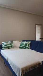 Spacious apartment by the park - Riga - 8