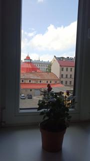 Spacious apartment by the park - 3