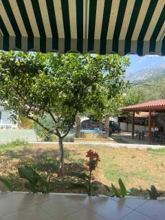 Yard Paradise - Dhërmi - 2