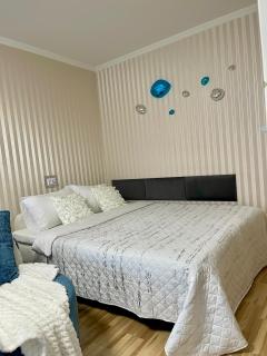 Dani apartment - Panevėžys - 6