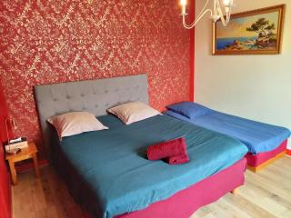 LA ROCHETTE studio et appartement avec JACUZZI Rooftop Balcon cour intérieure - Roanne - 5