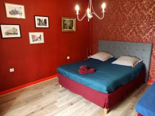 LA ROCHETTE studio et appartement avec JACUZZI Rooftop Balcon cour intérieure - Roanne - 4