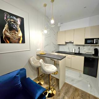 Golden Key Apartament Katowice Mariacka blisko Spodek, MCK - 4