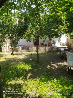 Gabala,yard, house - 0