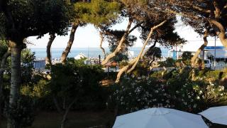 Il Gabbiano e il Calamaro - 4