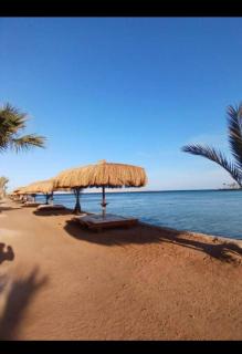 Tiba golden resort - Hurghada - 3