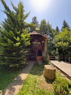 Cabane- Vila Crinul si Teodor Poiana Brasov - 2