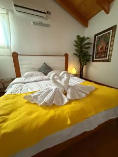 Vlad Wood Spa and Villa - H̱osen - 9