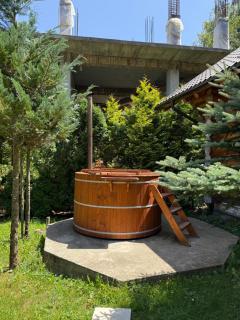 Cabane- Vila Crinul si Teodor Poiana Brasov - 6