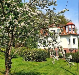 Ferienwohnung Villa Waldeck - Bad Kissingen - 0