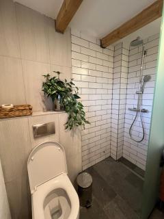 Vikend kuća Millina - - 4