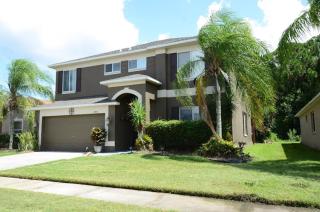 Home in Tampa - Wesley Chapel - 0