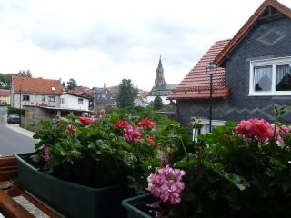 Ferienwohnung Bradsch - Ilmenau - 6