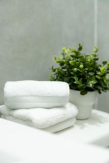 Modern 2BR Apt in San Juan City, Concert Stays - 2