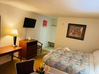 Regent Motel - Albany - 7