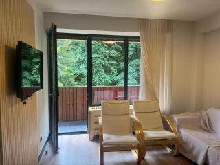Woods Inn Kokta-Mitarbi - Bakuriani - 1