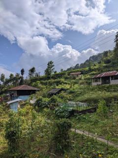 Ecoventure Todey Tangta - Thode - 7